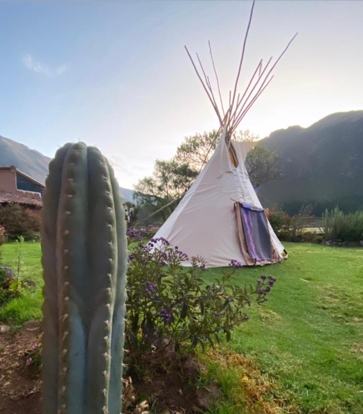 Sonqo Andino Hospedaje Medicina Pisac Exteriér fotografie